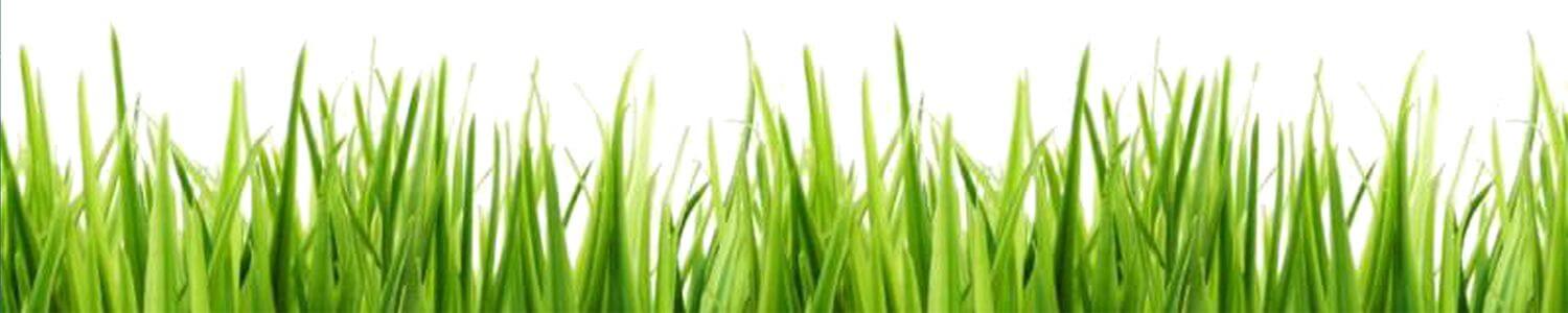 Footer newsletter marzo 18 Footer newsletter marzo 18