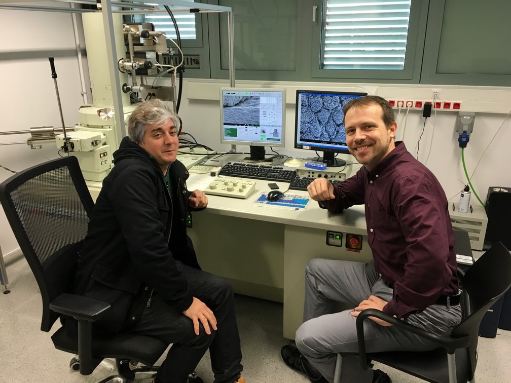 Estudios con microscopía electrónica de alta definición en la Universidad Politécnica de Cataluña Estudios con microscopía electrónica de alta definición en la Universidad Politécnica de Cataluña